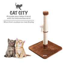 Cat Scratching Post with Toy - Brown