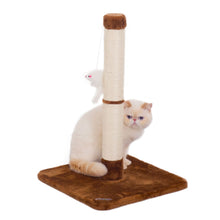 Cat Scratching Post with Toy - Brown