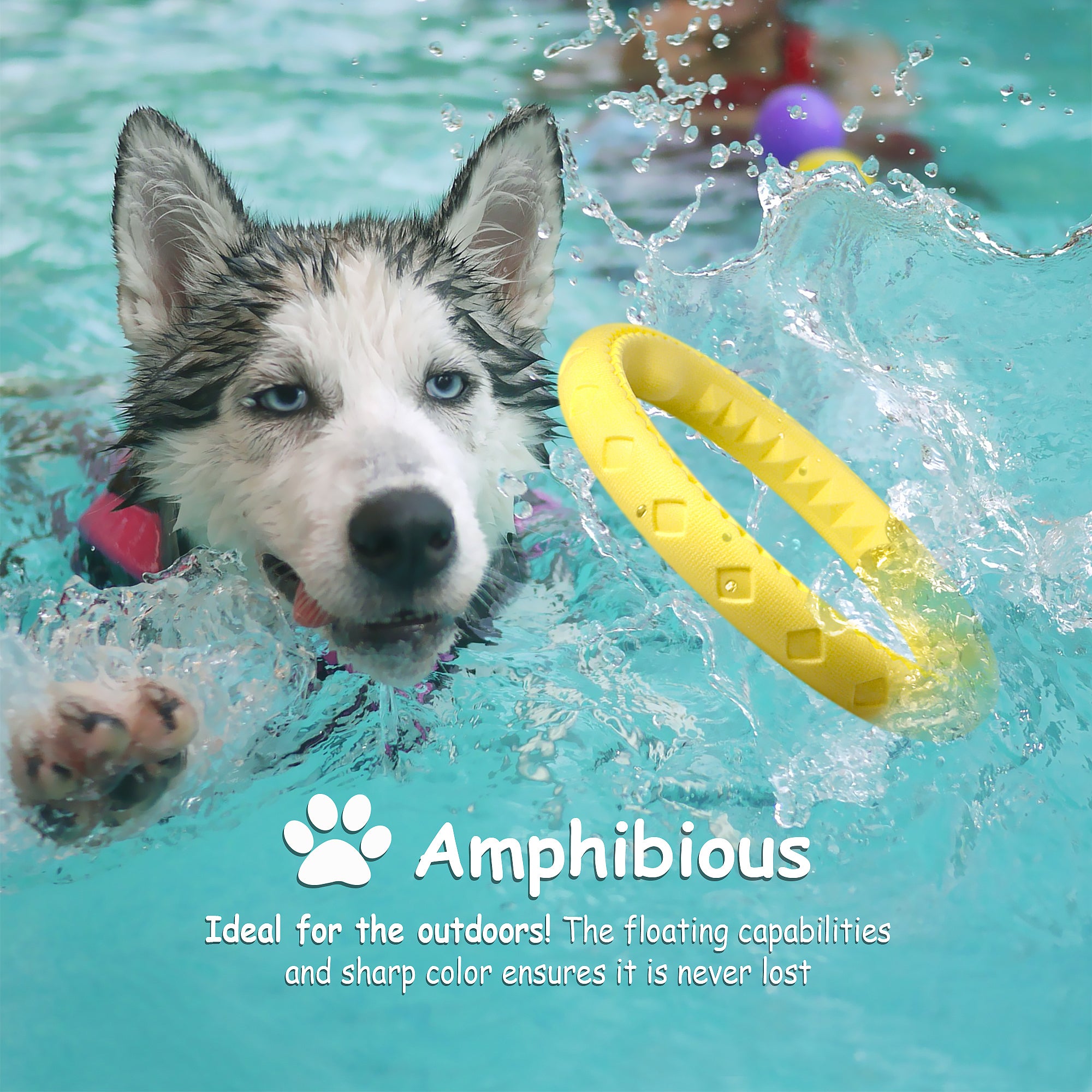 Pool Floatable Frisbee Toy - Banana Scented – Fluffy Paws Pets