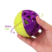 Dual Color Interactive Squeaking Ball